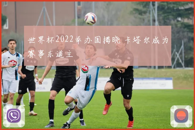 世界杯2022举办国揭晓 卡塔尔成为赛事东道主