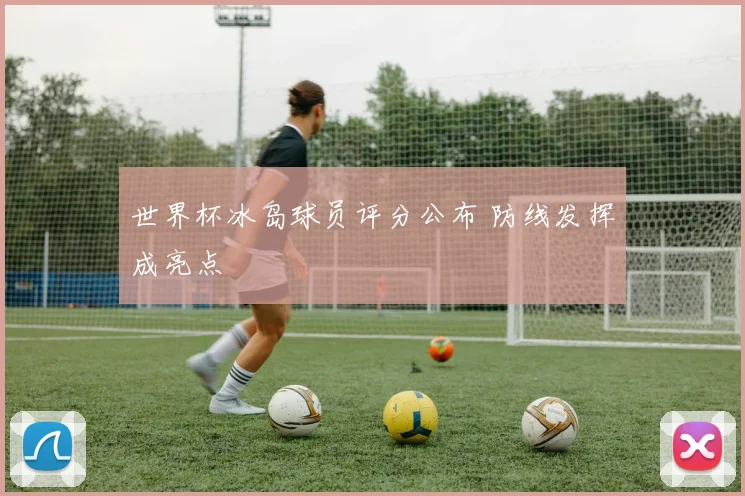 世界杯冰岛球员评分公布 防线发挥成亮点