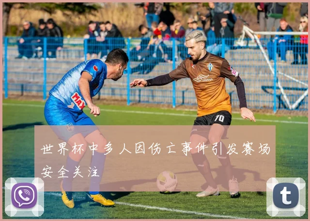世界杯中多人因伤亡事件引发赛场安全关注