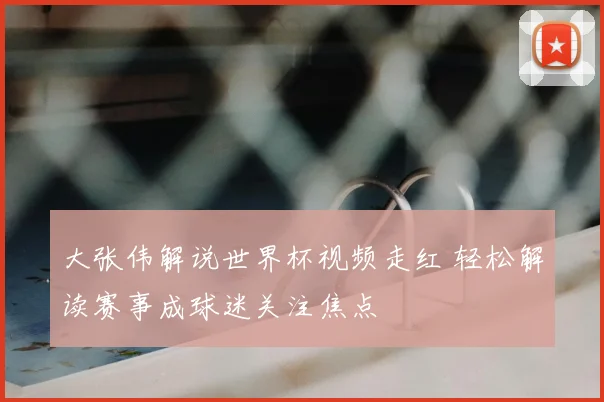 大张伟解说世界杯视频走红 轻松解读赛事成球迷关注焦点