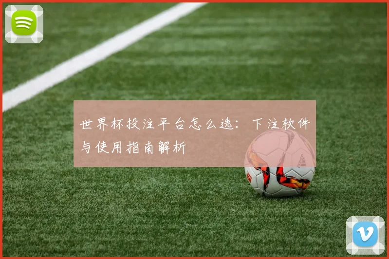 世界杯投注平台怎么选:下注软件与使用指南解析