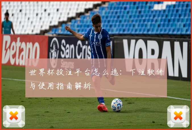世界杯投注平台怎么选:下注软件与使用指南解析