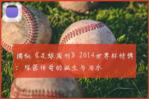 揭秘《足球周刊》2014世界杯特辑:绿茵传奇的诞生与泪水